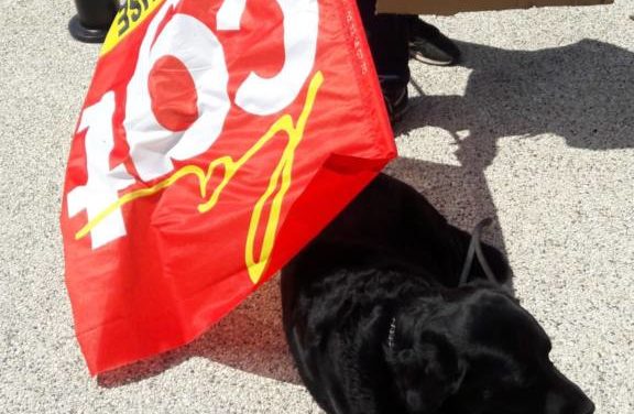 Chronique d’une action anti-loi travail, de Mulhouse à Colmar