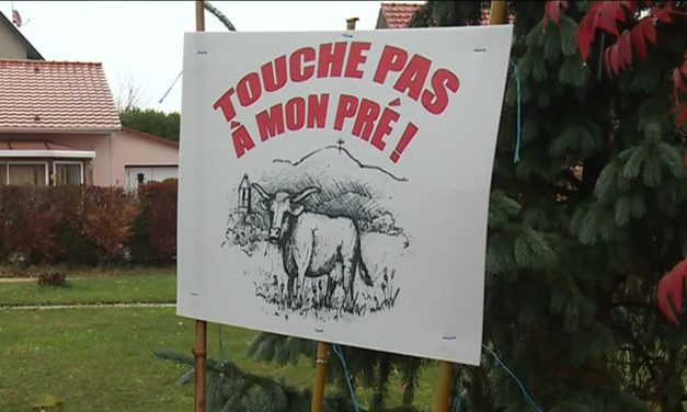 PLU de Wattwiller: sauvegarde du « grand pré »