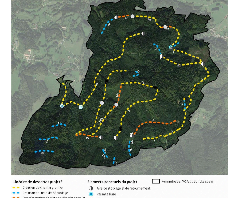 Un projet de desserte forestière menace le massif du « Sprickelsberg »