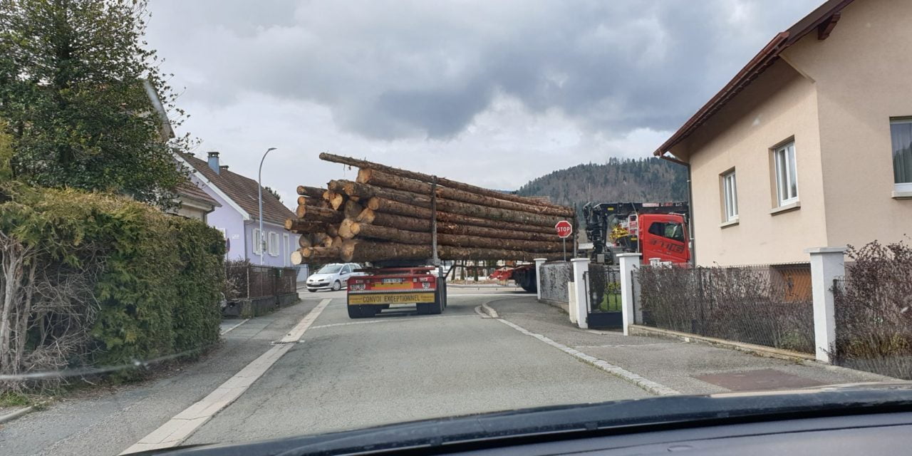 Massif du Sprickelsberg, entre Dolleren et Kirchberg: le feuilleton s&rsquo;enracine…