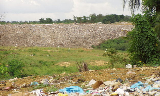 Nos belles histoires de poubelles pour l’été : le site Eselacker de Kingersheim