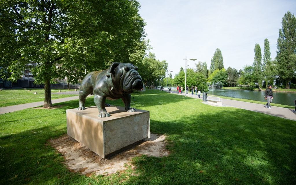 Municipales 2020 à Mulhouse: la tribune du candidat Loïc Minery