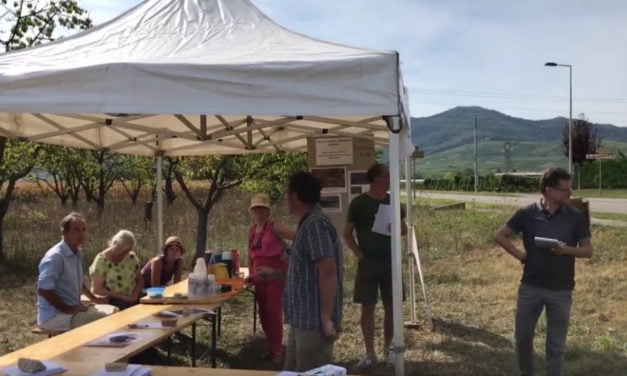 La pollution par le lindane : à Wintzenheim, elle fait l&rsquo;objet d&rsquo;une pétition