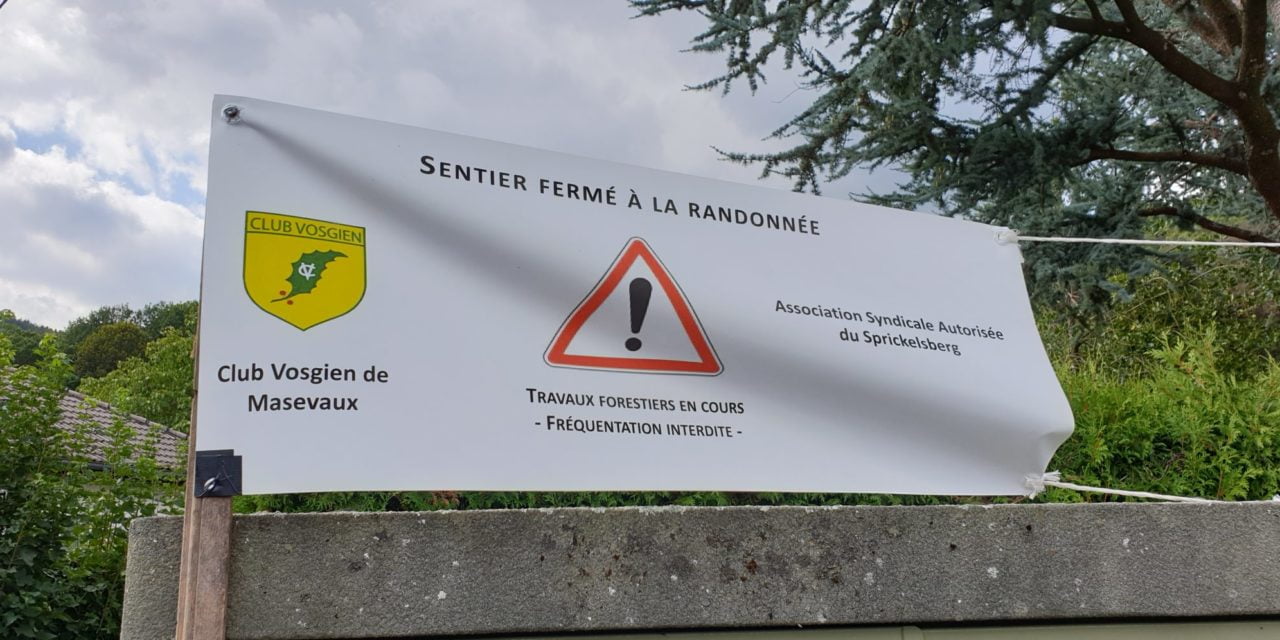 Le bois est à eux, la forêt est à nous !