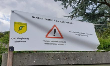 Le bois est à eux, la forêt est à nous !