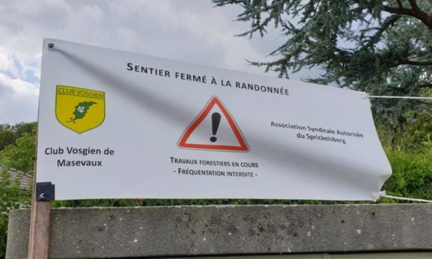 Le bois est à eux, la forêt est à nous !