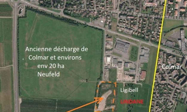 A Colmar, le lindane pollue (aussi) la campagne électorale de Gilbert Meyer