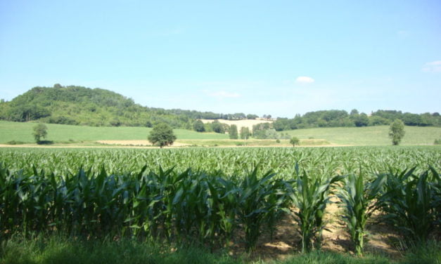 A Colmar et Wintzenheim, Tiefenbach environnement dissèque les candidats aux municipales, et reçoit le soutien du professeur Seralini sur le lindane
