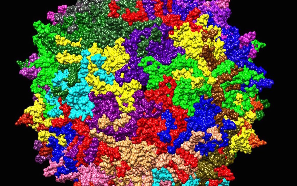 Pandémie virale : la guerre à qui et à quoi ?