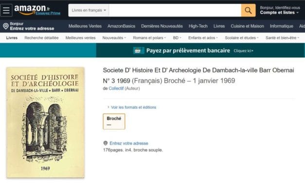 Projets d’implantation d’Amazon en Alsace : le commerce local et la soutenabilité écologique à l&rsquo;épreuve de l’économie des plateformes