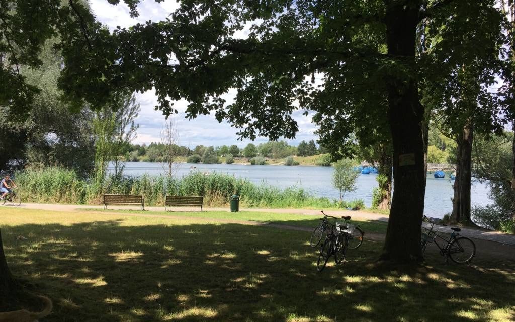 Ballade photographique à Freiburg im Breisgau, où les arbres apostrophent les passants au bord d&rsquo;un lac ressuscité