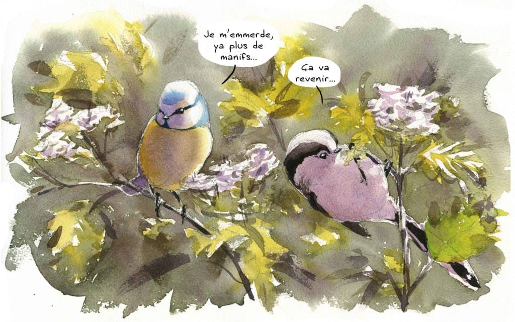 Manifestations des personnels et usagers de la santé à Mulhouse, Colmar et Guebwiller le 16 juin, et appel à agir contre la « réintoxication » du monde le 17 juin