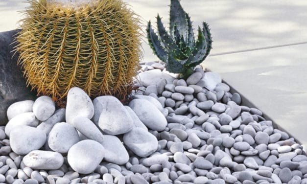 Dans le Bade-Wurtemberg : des écologistes jettent la pierre aux propriétaires de jardins, plutôt qu&rsquo;aux industries polluantes…