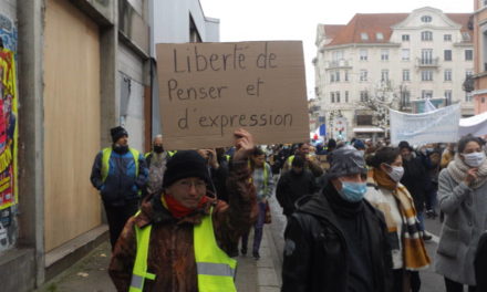Manifestation hétéroclite pour la dignité et les libertés à Mulhouse