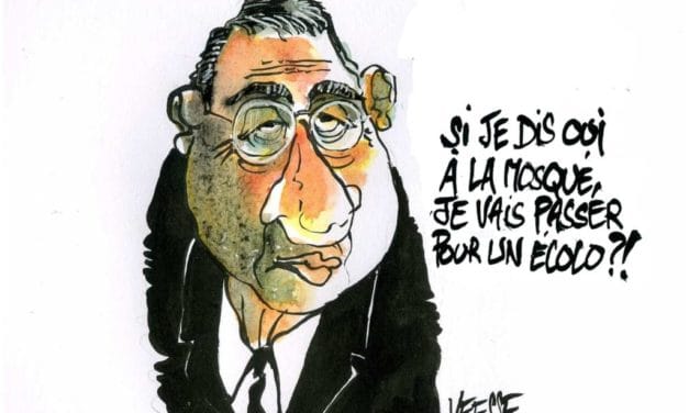 A Mulhouse et en Alsace, quand les politiques se prennent les pieds dans le tapis brun