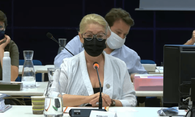 Conseil municipal de juin 2021 à Mulhouse : des absents et des torts, une maire autopartageuse, et une gauche qui tient son rôle d’opposante