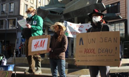 A Mulhouse, un rassemblement militant et festif pour dénoncer le « greenwashing » des multinationales