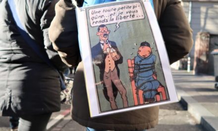 A Mulhouse, 29ème mobilisation des manifestants anti-passe
