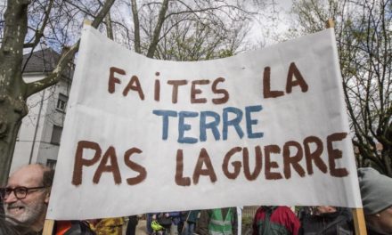 Marche pour le climat (et pour le futur) à Mulhouse