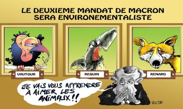 Union populaire écologique et sociale aux législatives : la donne politique peut-elle changer, notamment dans les deux circonscriptions de Mulhouse ?