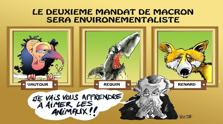 Union populaire écologique et sociale aux législatives : la donne politique peut-elle changer, notamment dans les deux circonscriptions de Mulhouse ?