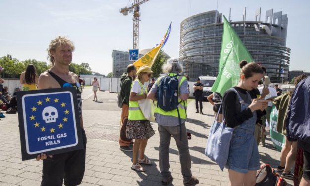 Écologie de l’absurde, manifestation en face à face et gestion kafkaïenne de la sécurité au Parlement européen de Strasbourg…