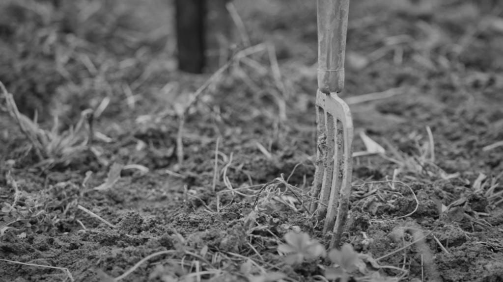 A Wihr-au-val, près de Colmar et Mulhouse, on naturalise le combat contre l’artificialisation des terres…