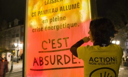 Sobriété : à Mulhouse, comme dans toute la France, des activistes éteignent des publicités lumineuses