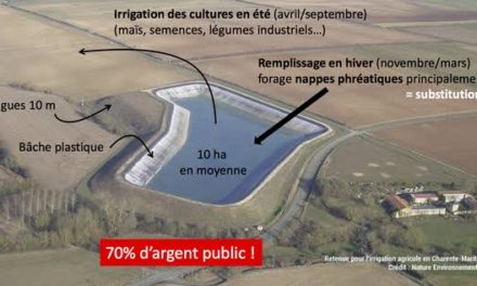 Affrontements lors de la manifestation contre les méga bassines de Sainte-Soline : témoignage de deux haut-rhinois