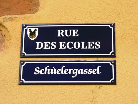 Bilinguisme en Alsace : quand la cigogne est mangée par la grenouille…
