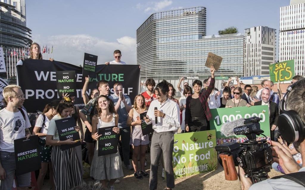 Au Parlement de Strasbourg : loi restauration de la nature et un  rapport sur la protection des journalistes