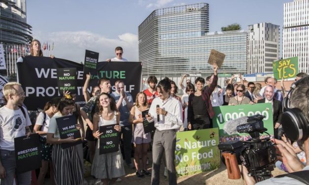 Au Parlement de Strasbourg : loi restauration de la nature et un  rapport sur la protection des journalistes