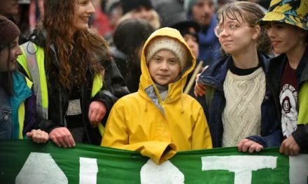 Tous les jeunes ne sont pas Greta Thunberg, et ceux qui aspirent à l’être restent bien en peine