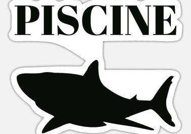 Mulhouse olympic natation : une association anticorruption porte plainte contre X pour prise illégale d&rsquo;intérêt et favoritisme