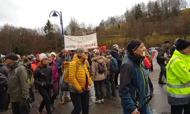 Diamant sur canopée vosgienne : une marche citoyenne contre une privatisation dans la vallée de la Doller