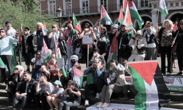 A Mulhouse, une centaine de manifestants pour réclamer un cessez-le-feu à Gaza