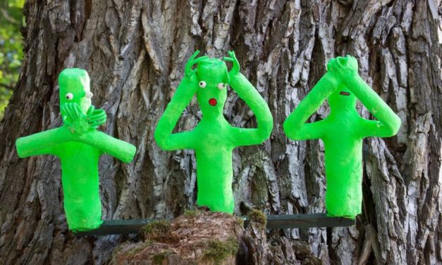 Mulhouse et Strasbourg encore insoumises à la vague RN, contrairement à Emmanuel Macron… et aux ouvriers