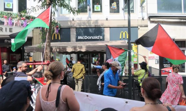 Manifestation en soutien aux Palestiniens à Mulhouse ciblant de grandes enseignes commerciales