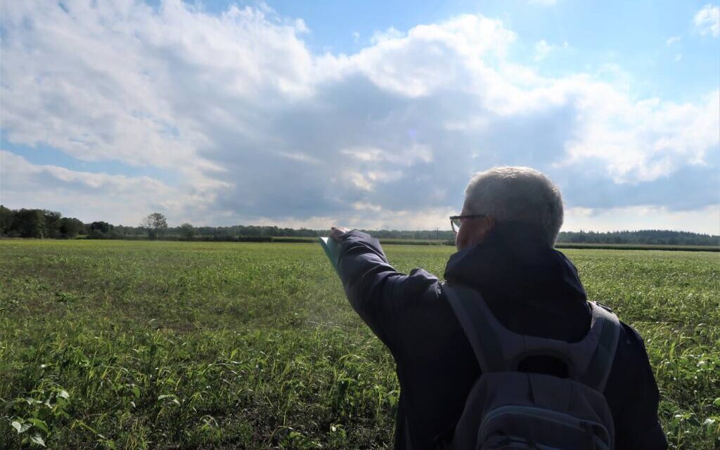 A Wittelsheim, entre défrichement agricole illégal et centrale solaire, les associations écologistes dénoncent la situation au « Moos »