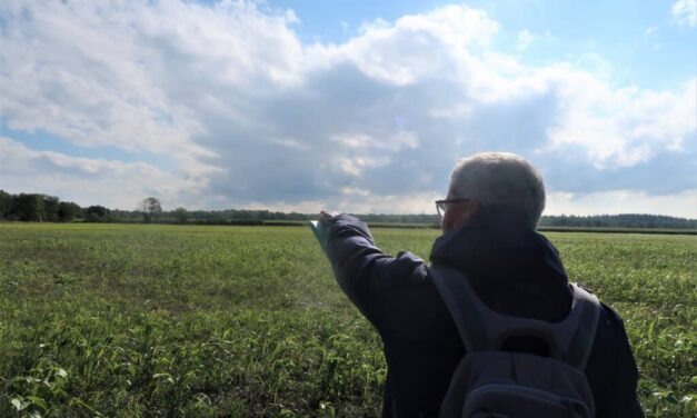 A Wittelsheim, entre défrichement agricole illégal et centrale solaire, les associations écologistes dénoncent la situation au « Moos »