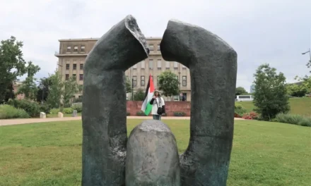 A Mulhouse, une marche silencieuse du Collectif Palestine 68 pour une paix juste et durable