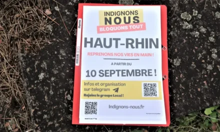 Un collectif de citoyen-ne-s élabore des modalités d&rsquo;action en vue de la mobilisation du 10 septembre à Mulhouse
