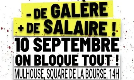 « Bloquons tout » : quel est ce mouvement naissant qui préoccupe le bloc macroniste ?