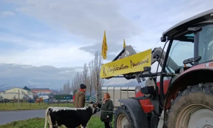 La Confédération paysanne mobilisée à Burnhaupt-le-Haut, près de Mulhouse, contre le traité du Mercosur