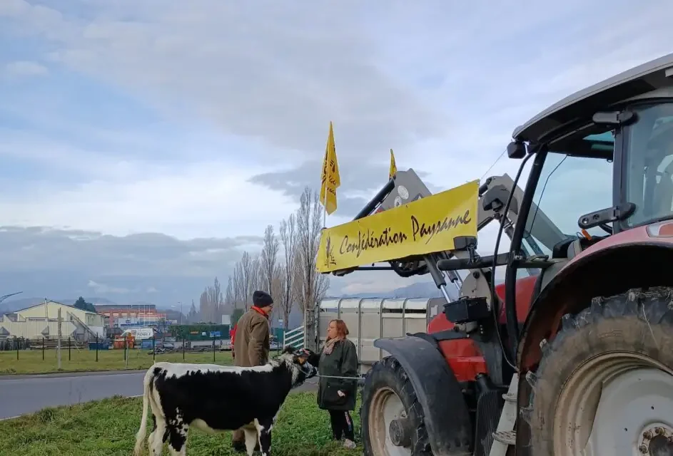 La Confédération paysanne mobilisée à Burnhaupt-le-Haut, près de Mulhouse, contre le traité du Mercosur