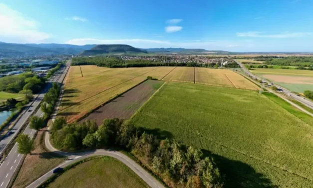 A Soultz, près de Mulhouse, la fracture entre un élu gestionnaire et un militant écologiste se solde par une convocation en gendarmerie pour outrage