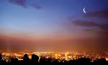 Extinction nocturne de l’éclairage public à Mulhouse et en Alsace : écologie et économies face au sentiment d’insécurité