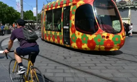 Municipales 2026 : comprendre la gratuité des transports en graphiques