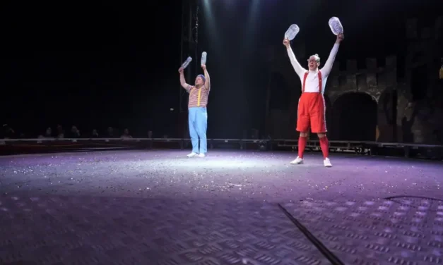Cirque Medrano à Mulhouse : la magie des jeux du cirque… ternit par des pratiques commerciales trompeuses