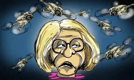 Elections municipales à Mulhouse : vol au-dessus d&rsquo;un nid de mouches électroniques ?